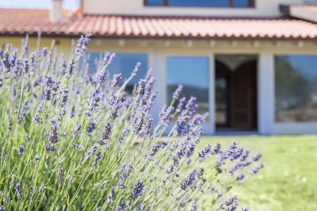 Agriturismo Terre Di Castiglione カスティリオーネ・デッラ・ペスカーイア エクステリア 写真