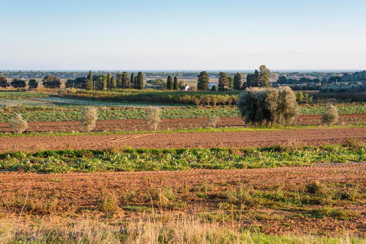 Agriturismo Terre Di Castiglione カスティリオーネ・デッラ・ペスカーイア エクステリア 写真