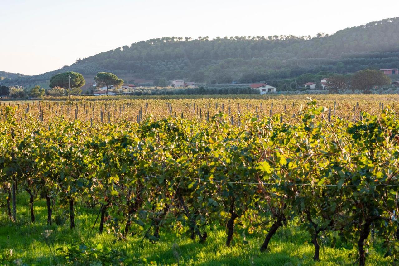 Agriturismo Terre Di Castiglione カスティリオーネ・デッラ・ペスカーイア エクステリア 写真