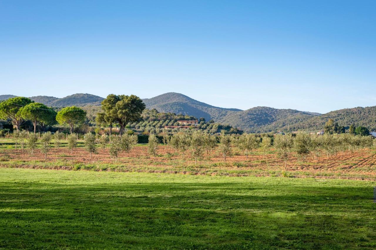 Agriturismo Terre Di Castiglione カスティリオーネ・デッラ・ペスカーイア エクステリア 写真