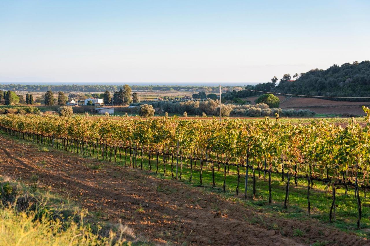 Agriturismo Terre Di Castiglione カスティリオーネ・デッラ・ペスカーイア エクステリア 写真