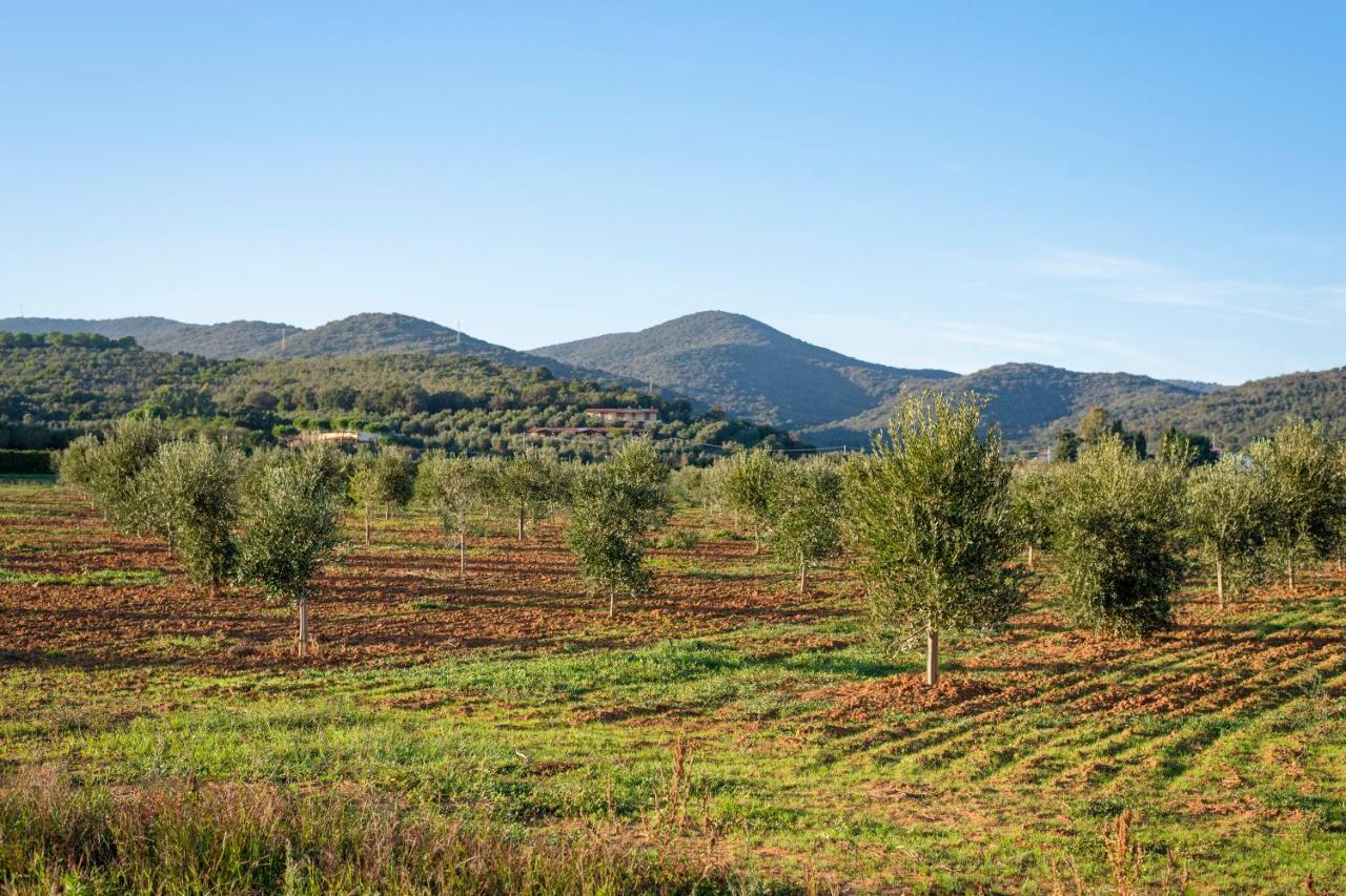Agriturismo Terre Di Castiglione カスティリオーネ・デッラ・ペスカーイア エクステリア 写真